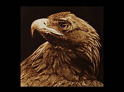The Tawny Eagle. Davide Della Noce pyrography. The Tawny Eagle.jpg