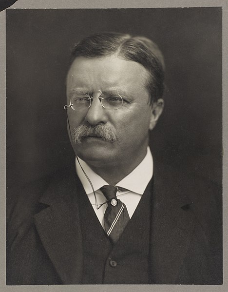 Theodore Roosevelt was the founder and dominant leader of the Progressive Party