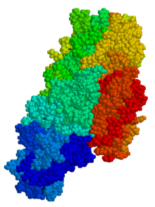 Tissue transglutaminase Tissue transglutaminase.png