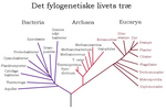 Miniatyrbilete for Zoologi