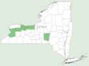 Trillium flexipes NY-dist-map.png