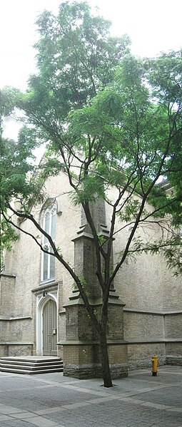 File:TrinityChurchToronto.JPG