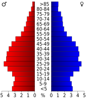 Bevolkingspiramide Davidson County