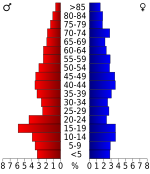 Age pyramid