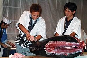 Sashimi: Le sashimi, un art culinaire, Le thon pour le sashimi, Traitement du thon qualité sashimi