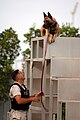 US Navy 070507-N-9818V-347 Master-at-Arms 2nd Class Jeremy Aldrich, attached to Naval Security Force, K-9 Unit, and his military working dog Tyson, a four-year-old blue Belgium Malinois, take a little break for some fun at the.jpg