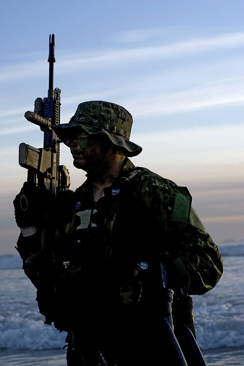 U.S. Navy SEAL with the SCAR-H STD (Mk 17)