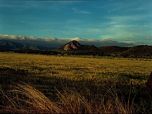 Pachuca