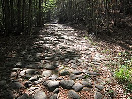 Via Vandelli Selva Romanesca.jpg