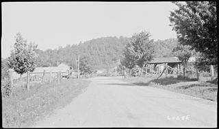 <span class="mw-page-title-main">Pine View, Tennessee</span> Unincorporated community in Tennessee, United States