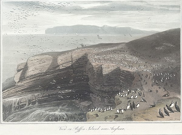 View on Puffin Island, 1815