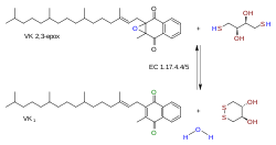 Vitamin-K-Epoxid-Reduktase (Warfarin-sensitiv)