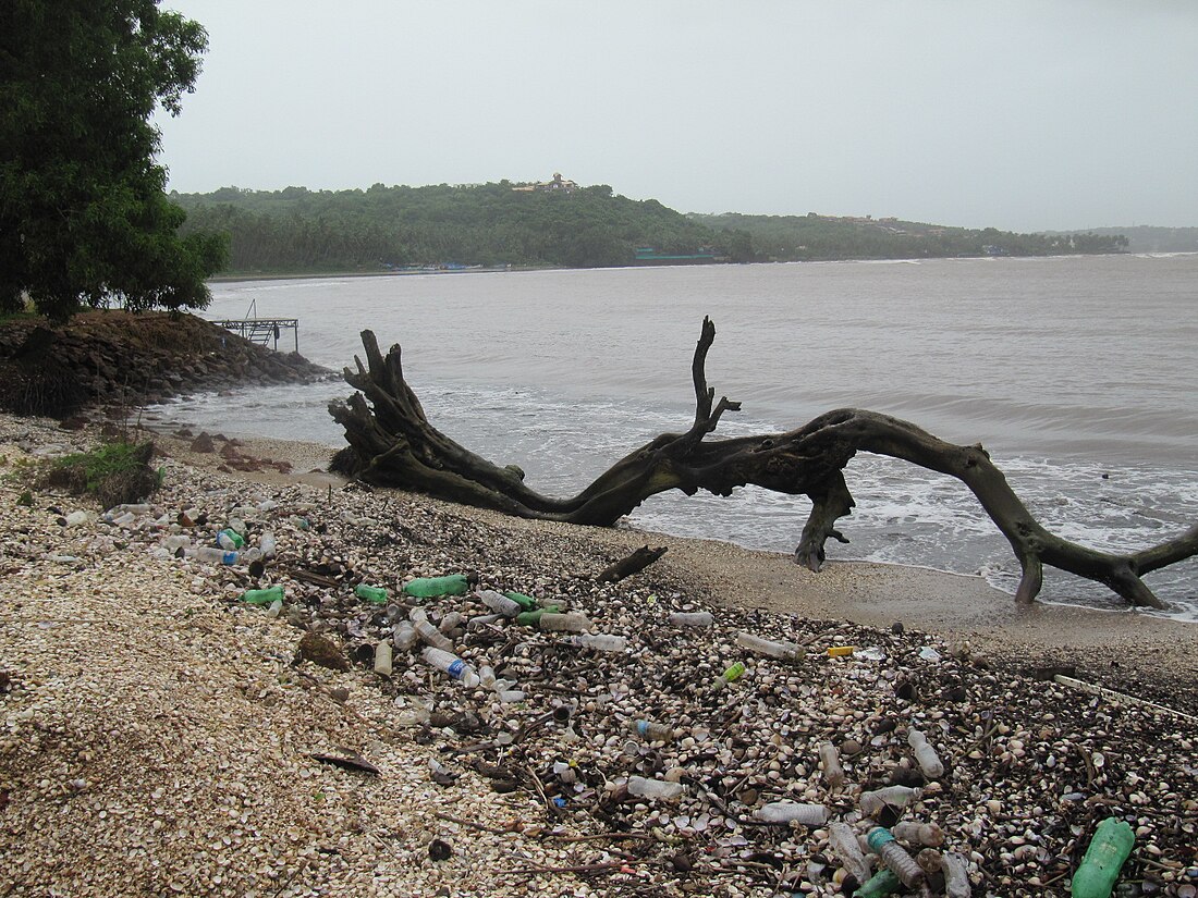 প্লাস্টিক দূষণ