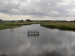 Van Den Vos Reynaerde: Benamingen, Oorsprong, Verhaal