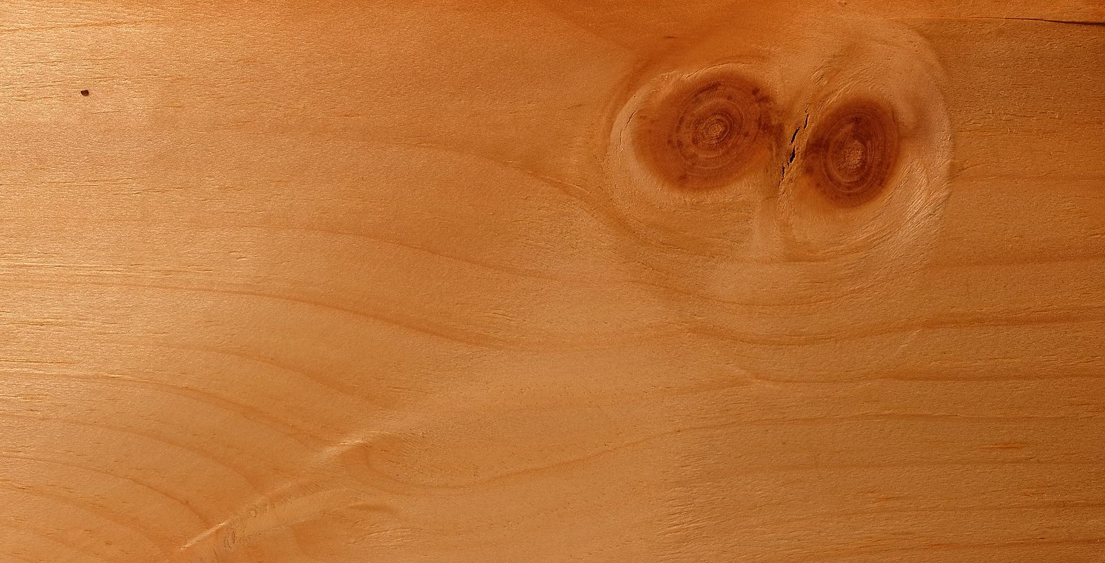 Пороки древесины сучковатость