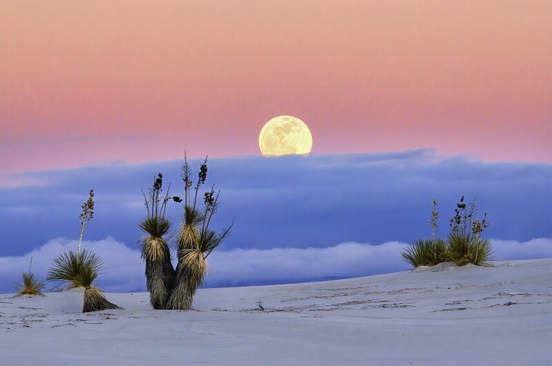 File:White Sands Moonrise (48001473828).jpg