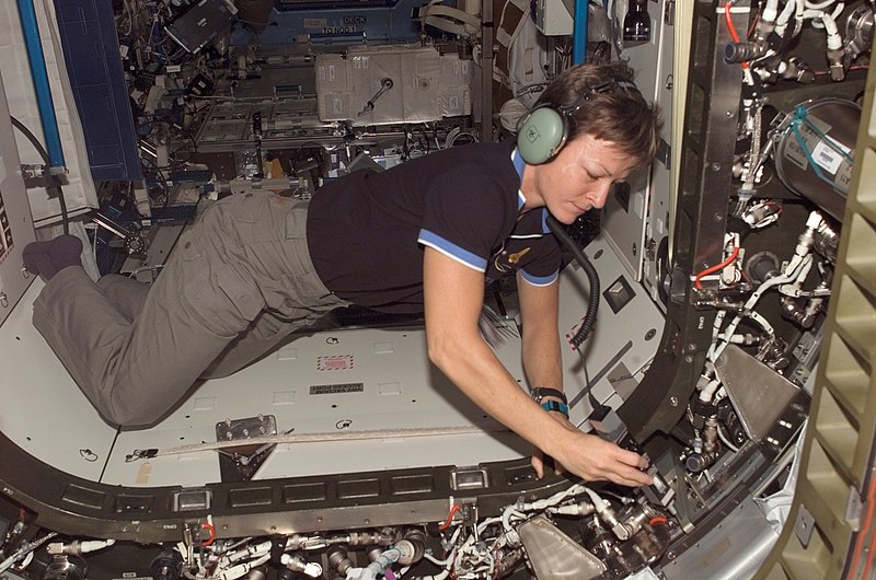 File:Whitson Maintaining Vestibule.jpg