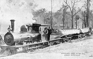 <span class="mw-page-title-main">WAGR M class (1875)</span> Class of Australian 2-6-0 locomotives built in 1875
