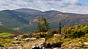 Thumbnail for File:Wicklow Way Marker Curtlestown.jpg