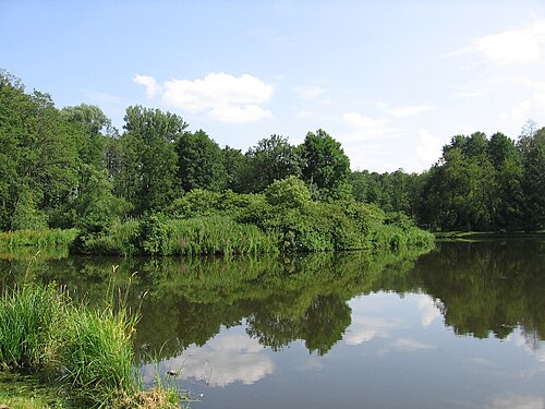 Wieszczyna. Staw z wysepką.