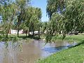 Miniatuur voor Bestand:Willows and wood bridge over Argüello lagoon.jpg