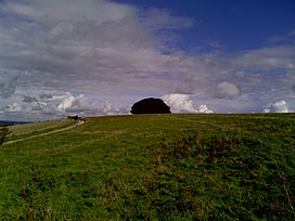 Wingreen Hill, Wiltshire UK.jpg