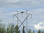 Wood Pylon w Eagle Nest.jpg