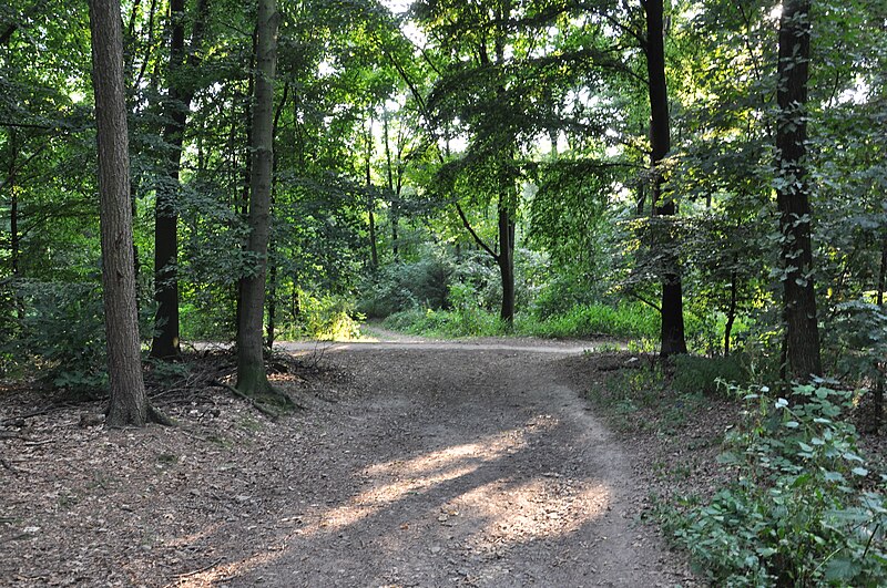 File:Wuppertal Am Buschhäuschen 2013 250.JPG