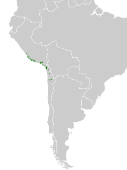 Distribución geográfica del yal picofino.