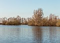 Zicht op de poel en de eilandjes.