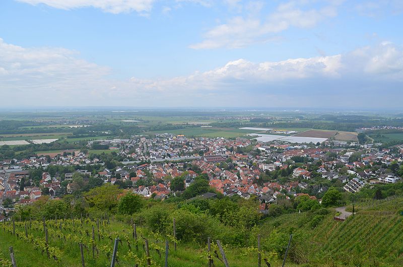 File:Zwingenberg vom Luciberg.jpg