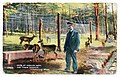Postcard mailed in 1908 with a caption, "Deer at Whalom Park and Their Keeper, Fitchburg, Mass."
