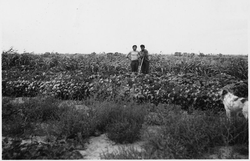 File:"Family with garden at Wind River Agency" - NARA - 293385.jpg