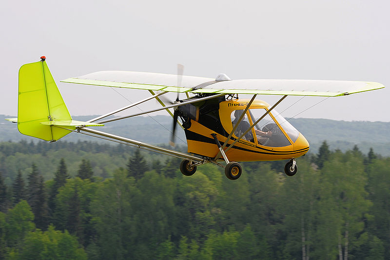 File:"baby bird-2"in flight. (4612063811).jpg