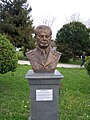 Bust of Air Marshal Enver Akoğlu