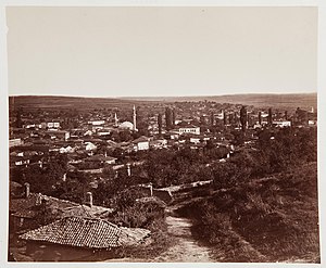 Панорама Плевны. Фото 1880-х гг.