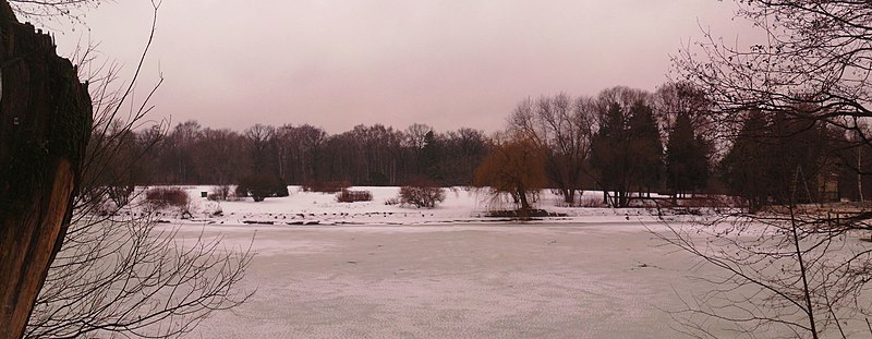 File:Зима на прудах - panoramio.jpg