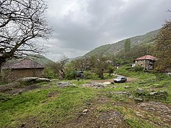 Houses in the village Štalkovica