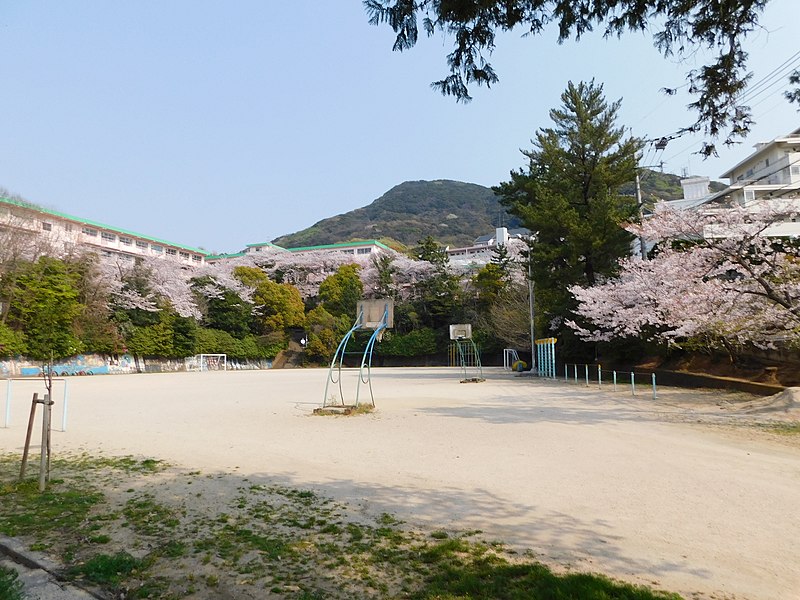 File:春の北九州市立桜ヶ丘小学校.jpg