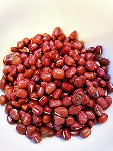 江苏泰州红豆。愿君多采颉，此物最相思。