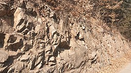 화담길 도로변에 드러난 노두 하양층군 학봉분암층(Kkb)에 해당하는 지층이다. (대구도폭) 대구광역시 북구 동변동