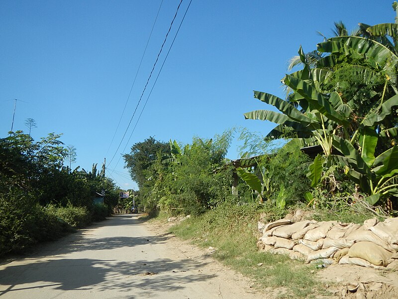 File:05103jfBuas Poblacion Welcome Gulap Santo Road Candaba Pampangafvf 06.JPG