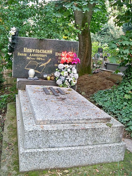 File:1. Ужгород. Вул. Тиха Могила П. Цибульського.jpg