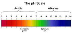 pH scale showing the BBE-like enzyme's optimum pH and isoelectric point. 141128 Phil Holliday - pH scale final.png