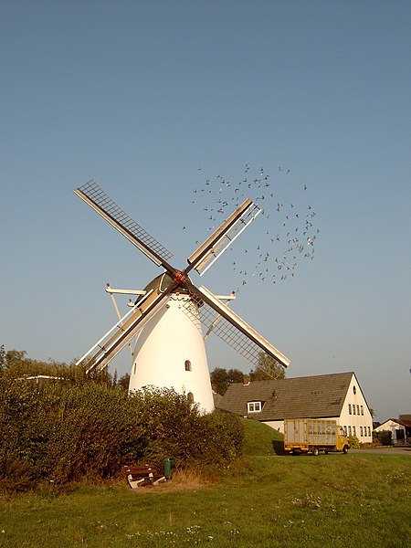 File:2005-10-04 19.53 waarschijnlijk bij Loil.JPG