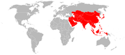 Participating countries in the 2006 Asian Games