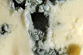 Ein Blauschimmel-Käse von ganz nahem gesehen
