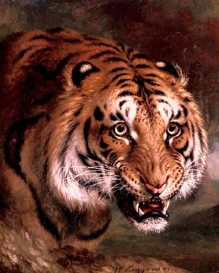 Hình tượng con hổ trong văn hóa