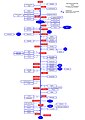 Das Flusssystem der Trave (schematisch)