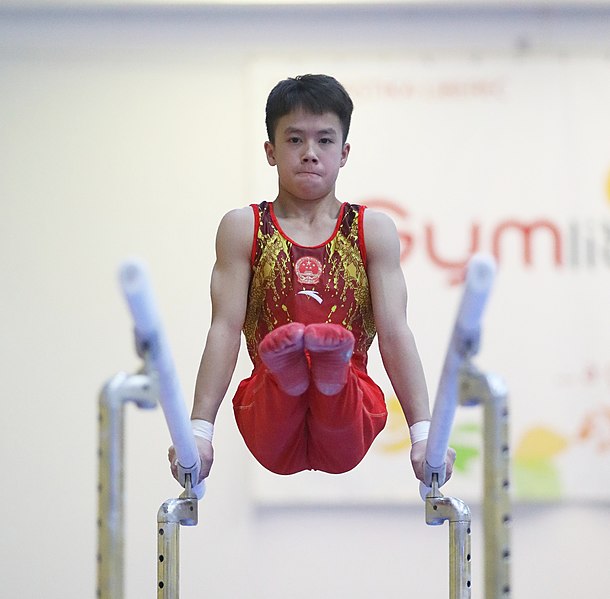 File:2019-11-30 OHC Liberec 2019 MAG Apparatus finals Parallel bars (Martin Rulsch) 295.jpg